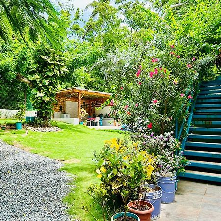 Hotel Palmare House à San Andrés Extérieur photo
