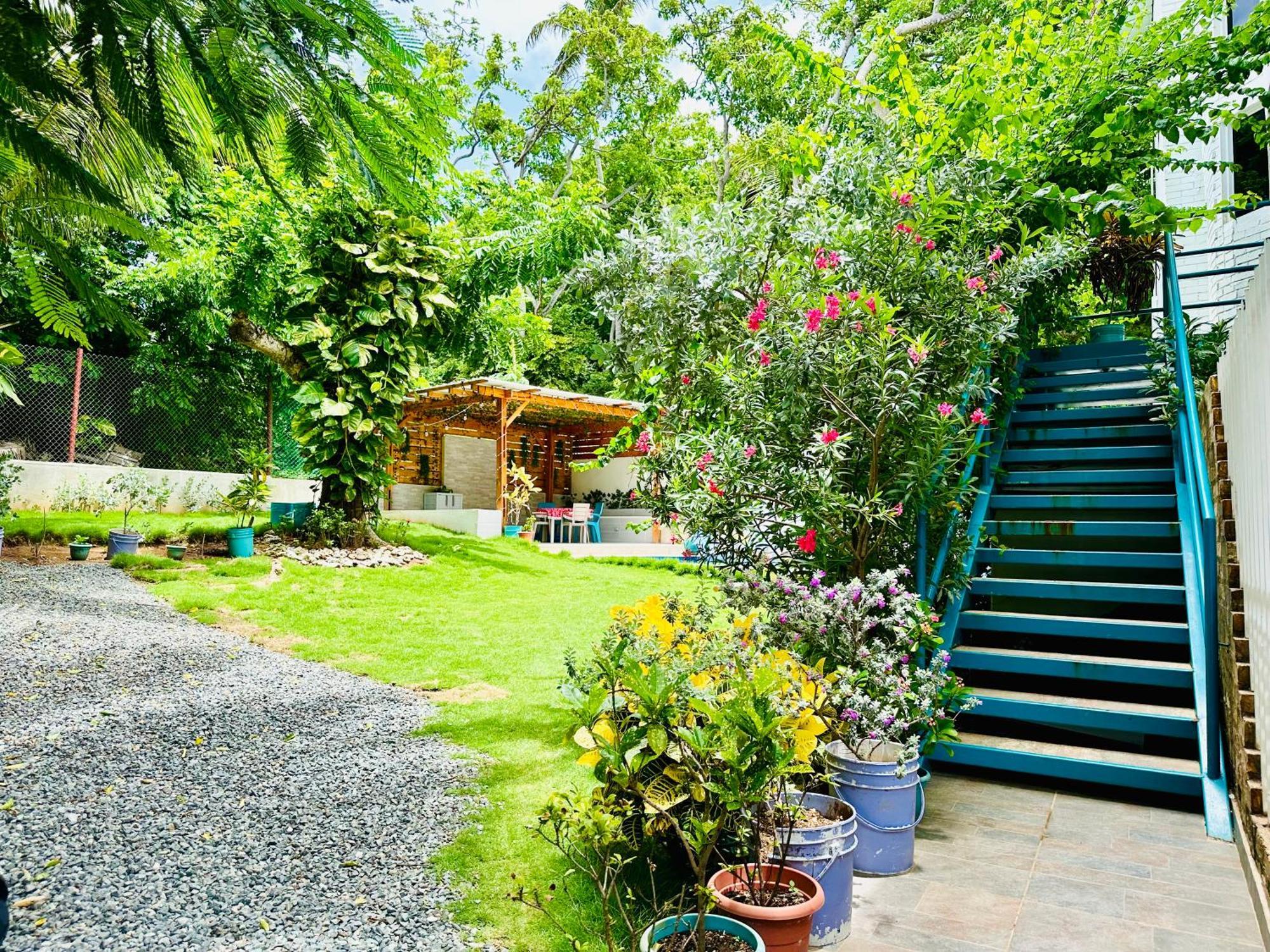 Hotel Palmare House à San Andrés Extérieur photo